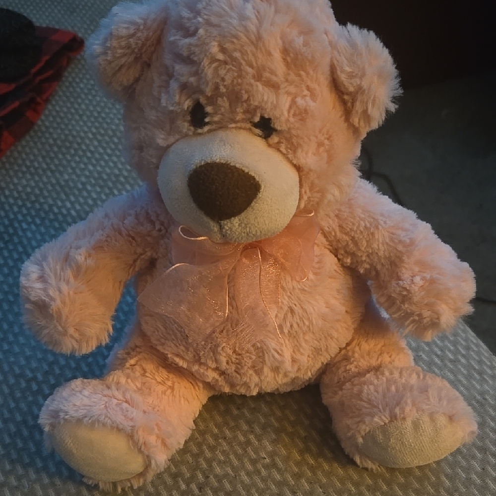 Plush Pink Teddy Bear with Bow